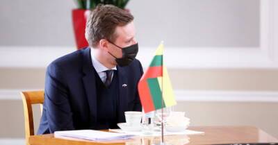 Глава МИД Литвы: мы должны добиться, чтобы Минский аэропорт стал бесполетной зоной