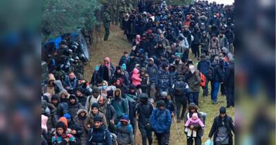 Натовп мігрантів на кордоні Білорусі та Польщі почав наступ на прикордонний перехід