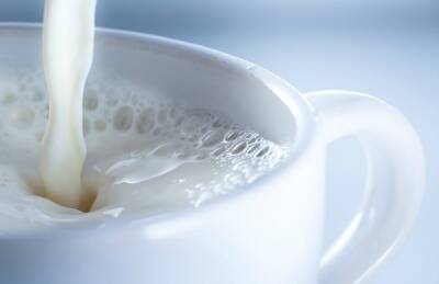 ФАО: Мировое производство молока вырастет