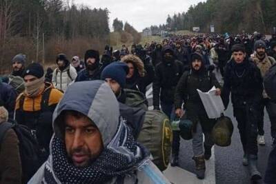 Мигранты перебрались через колючую проволоку на границе Польши