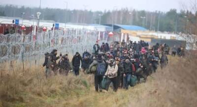 Белоруссия обязана забрать мигрантов, проникших через границу — МВД Украины