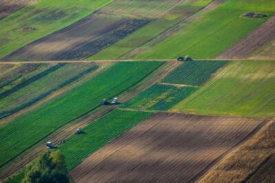 В Костромской области возвращены в сельхозоборот 1,9 тысяч гектаров земли