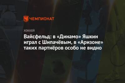 Вайсфельд: в «Динамо» Яшкин играл с Шипачёвым, в «Аризоне» таких партнёров особо не видно