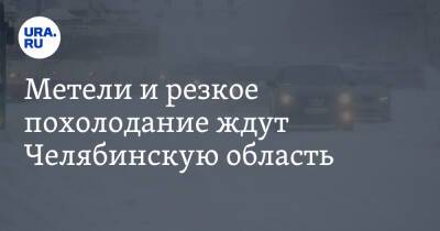 Метели и резкое похолодание ждут Челябинскую область. Скрин