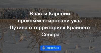 Власти Карелии прокомментировали указ Путина о территориях Крайнего Севера