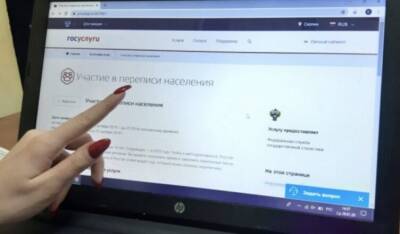 Более 25 млн человек в России участвовали в переписи населения через портал госуслуг