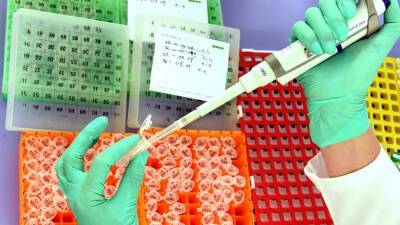 В Норвегии выявили новую разновидность «Дельта»-штамма коронавируса