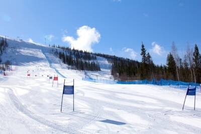 Кубок России по горнолыжному спорту пройдет в Кировске