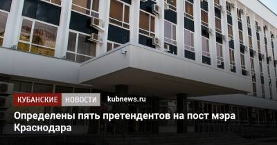 Определены пять претендентов на пост мэра Краснодара