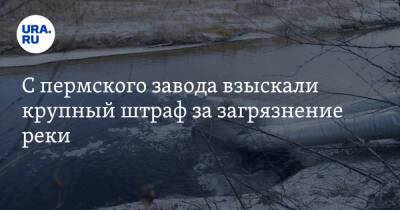 С пермского завода взыскали крупный штраф за загрязнение реки