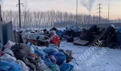 «Мусорная реформа в деле»: житель Башкирии снял на видео большую свалку в Нагаево