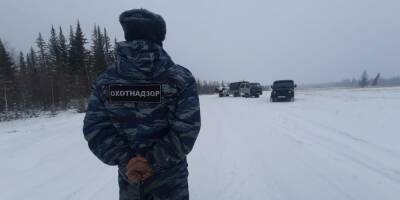 СМИ: в Якутии судью, пристава и ФСБшника подозревают в браконьерстве