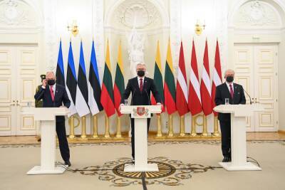 Президент Литвы: если ситуация осложнится, возможна просьба о начале консультаций НАТО