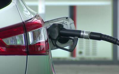 На заправках подешевеет бензин и дизтопливо: но водителям легче не станет - названы новые цены