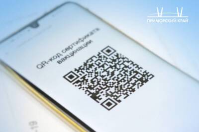 Нижегородцы попросили Путина отменить QR-коды