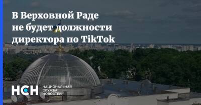 В Верховной Раде не будет должности директора по TikTok