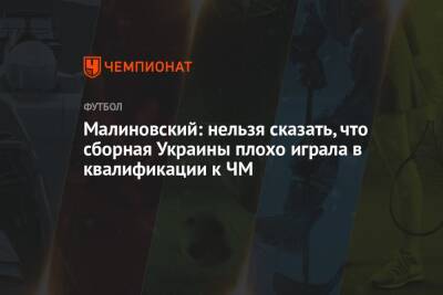 Малиновский: нельзя сказать, что сборная Украины плохо играла в квалификации к ЧМ