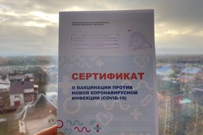 Как пожилые петербуржцы могут получить бумажные QR-коды о вакцинации