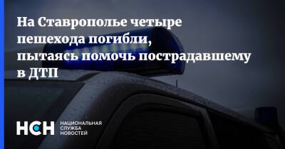 На Ставрополье четыре пешехода погибли, пытаясь помочь пострадавшему в ДТП