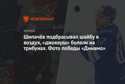 Шипачёв подбрасывал шайбу в воздух, «джокеры» болели на трибунах. Фото победы «Динамо»
