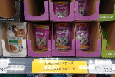 Неуловимая старушка ворует кошачьи корма в магазинах Новосибирска