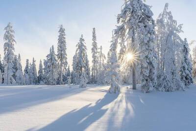 Тридцатиградусные морозы могут накрыть Томскую область в середине декабря