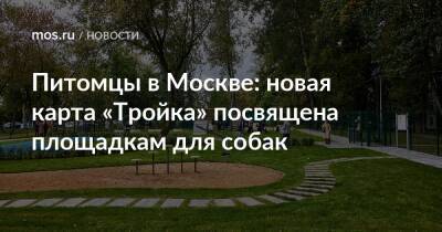 Питомцы в Москве: новая карта «Тройка» посвящена площадкам для собак