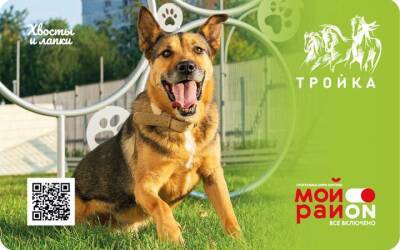 В Москве появилась карта «Тройка» с изображением современных площадок для выгула собак