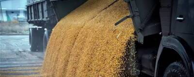 В Омске из банкротящейся агрофирмы вывезли зерно на сумму более 44 млн рублей