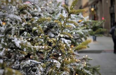 В Башкирии к Новому году установят почти 2,3 тысячи новогодних елок