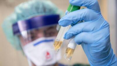 Правительство выделило средства для выявления Дельта-штамма коронавируса на уровне регионов
