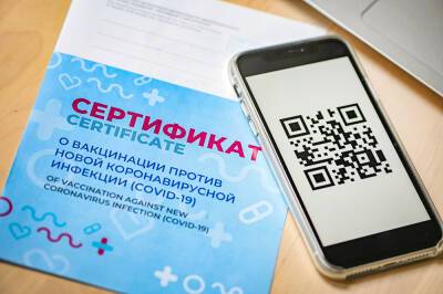 Россияне оценили идею выдачи QR-кодов при высоких антителах