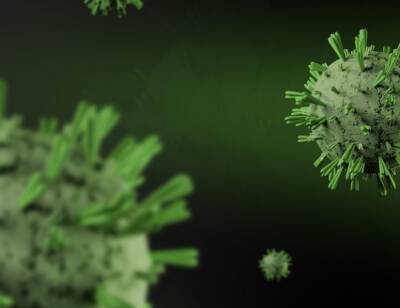 Гинцбург сообщил об отсутствии побочных эффектов у назальной вакцины от коронавируса