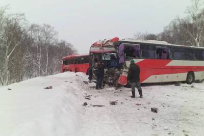 Виновник ДТП с двумя автобусами на Камчатке получил срок