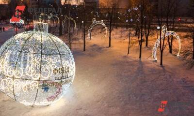 Власти Петербурга потратят на новогодние украшения двух районов 21,2 млн рублей
