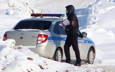 Против жительницы Югры, избившей полицейского рулоном обоев, возбуждено уголовное дело