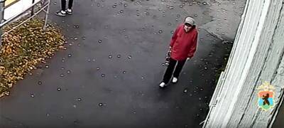 Полиция Петрозаводска разместила видеозапись с женщиной, подозреваемой в краже в центре города