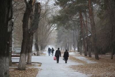 В Волгоградской области ожидаются ночные морозы до -7 градусов