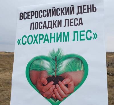В Астраханской области высажено 70-миллионное по счету дерево