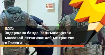 Задержана банда, занимающаяся массовой легализацией мигрантов в России