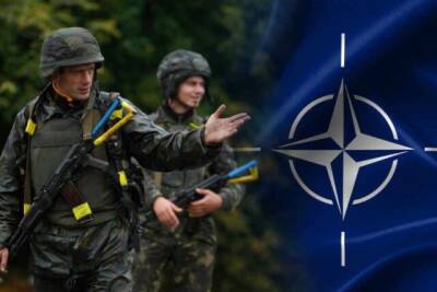 Депутат Рады рассказал о намерении Украины спровоцировать Россию с помощью НАТО