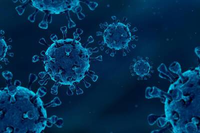 Петербург возглавил рейтинг заболеваемости коронавирусом среди всех регионов России