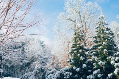 Гидрометцентр пообещал теплый декабрь в России