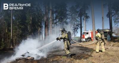 В Татарстане осудили мужчину, по вине которого произошел лесной пожар