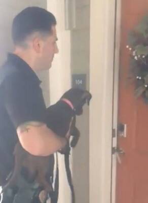 Полиция вернула пропавшего щенка хозяйке: ее бурная реакция ошеломляет