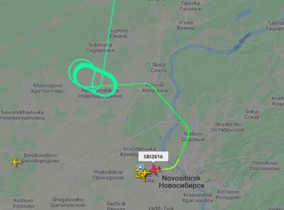 В Новосибирске совершил экстренную посадку самолёт из Томска