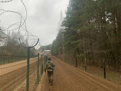 Таджики задержаны за пособничество в незаконном пересечении польской границы