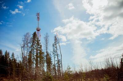 Tele2 ускорила мобильный интернет в Липецкой области