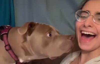 Уморительная реакция пса на лай хозяйки рассмешила до слез пользователей Сети (ВИДЕО)