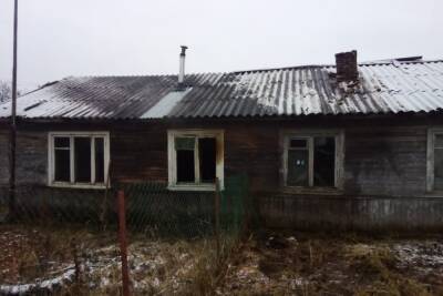 Обугленное тело нашли на пепелище в новгородской деревне